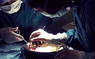 上海肺科医院医师自曝“每天三台肺移植”惹议