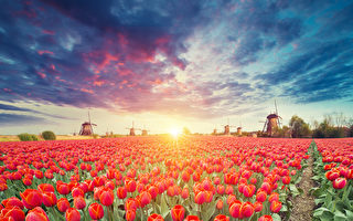 把化来之物放在人间循环