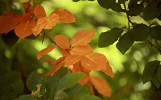秋分 教给人的生存之道！
