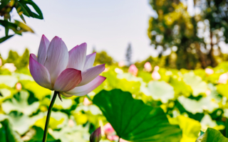 半百富翁心生一念转变人生 孝廉温情“家书”救了一家人