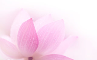 进入另外空间   方晓佛法威严报应无情