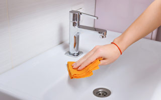 昆虫学家教你几招 防止蚂蚁入侵浴室