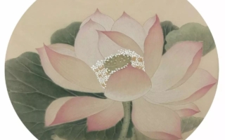 《西方极乐世界游记》展现的时间场与宽净法师的前世今生