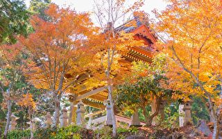 善有善报，拖久了还付利息