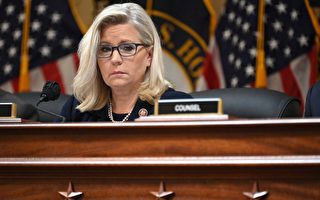 贺锦丽联袂共和党人拉拢温和派 川普奔赴北卡