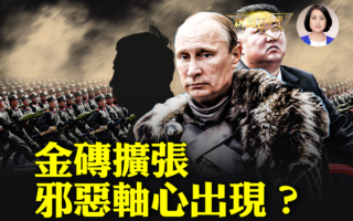 【新闻欣视角】金砖国家扩张 邪恶轴心出现？