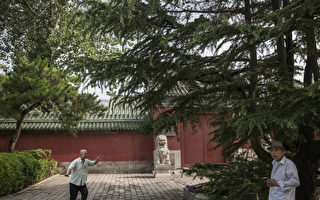 贺锦丽还是川普？中国民众怎么看美国大选