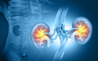 避免洗肾 2穴位2茶饮保养肾脏增强肾气