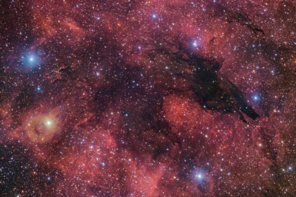 天文学家拍到距地5300光年的星云 状似黑狼