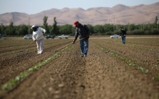 美众院选举 加州8个选区两党争夺激烈