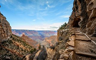 美众院选举 亚利桑那两选区或有翻盘可能