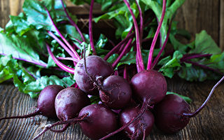 重温好话：修身处世三奇书(二)菜根谭(上) 修身与应酬