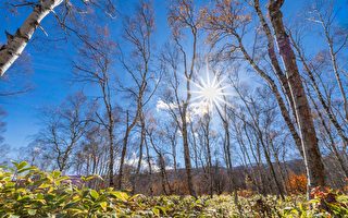 立冬养精蓄锐 补肾保养日常六招