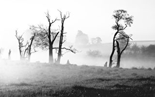 效职冥府的清朝进士吐露什么天机？