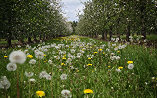 【古道人生】擅自改动风水的后果很严重吗？