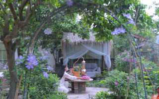 频道停更3年 大陆网红李子柒恢复更新登热搜