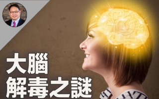 别让大脑堆积废物 这样做促进大脑解毒