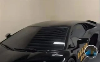 【翻墙必看】上海富豪利用豪车维权