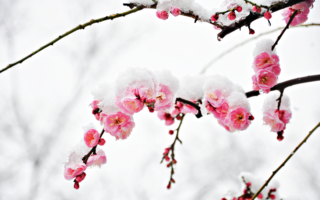 七月廿日（骈赋）