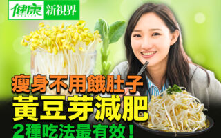黄豆芽减肥 三益处三食谱四技巧超实用