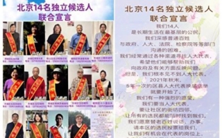 王友群：中共为什么惧怕“真选举”？