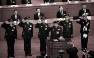 王友群：苗华被查为何由国防部发言人发布？