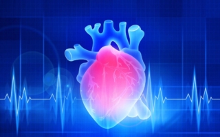 无论是否做运动 久坐都会增加患心脏病的风险