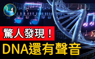 【未解之谜】用DNA谱曲？遗传学中隐藏生命密码