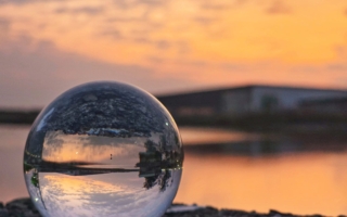 用手机拍微距—摄影家廖翠环的创作之路