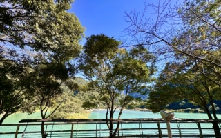 【旅行趣】台湾马鞍坝生态园区 陪鱼儿爬梯