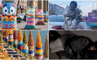 大陆多地“给树穿毛衣” 网民热议亡国之兆