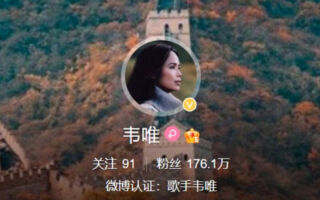 韦唯隐居深山10年 自曝经历严重车祸折断脊柱