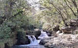 台北三峡满月圆森林轻旅行
