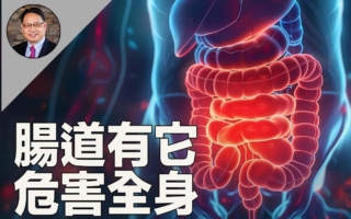 肠道代谢物危害肾脏及大脑 这样吃可逆转