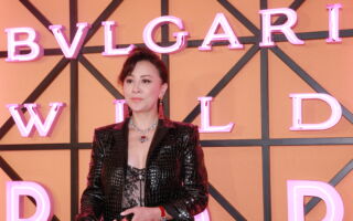 上海法院出庭旧照曝光 刘嘉玲成港星第一人