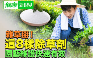 杂草掰！这8样除草剂 园艺维护快速有效