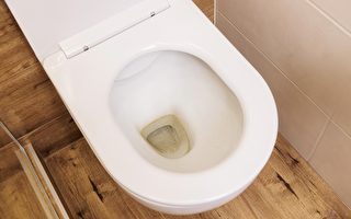 日本制造商：不要用卫生纸擦拭马桶座