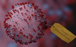 中国爆发人偏肺病毒 周边国家纷纷回应