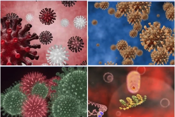 高致命禽流感H5N1爆发 业内人士揭中共掩瞒