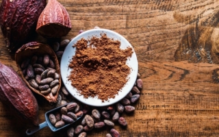 可可有哪些隐藏的健康功效？