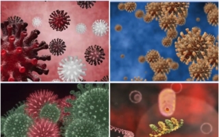 高致命禽流感H5N1爆发 业内人士揭中共掩瞒