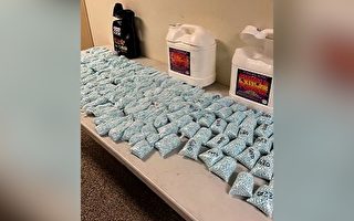 加州国民警卫队协助缉毒 上月缴获1500磅芬太尼