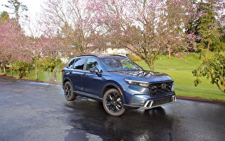 丰田和本田混动车 2025款CR-V与RAV4大比拼