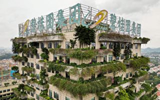 “儿子没法结婚了” 碧桂园烂尾楼买家陷困境