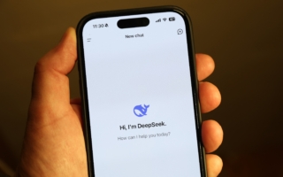 DeepSeek宣称低成本惹议 业界疑背后有猫腻