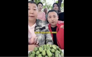 央视宣传盘锦稻田蟹涉假 千万粉丝网红曝内情