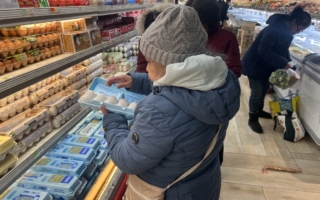 美国鸡蛋供应紧张 价格持续上涨 有机鸡蛋涨到15元