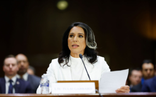 美参院委员会通过加巴德情报总监提名