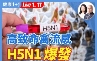 冬季甲流疫情升温 病毒大流行之际如何防护？