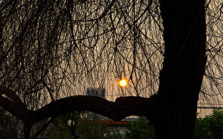 【古道人生】为什么做了善事 看不到得好报？